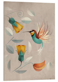 Gallery print Humming-bird