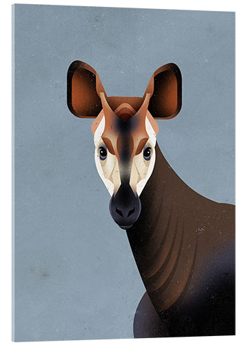 Cuadro de metacrilato Okapi