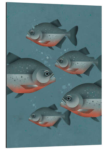 Aluminium print Piranhas