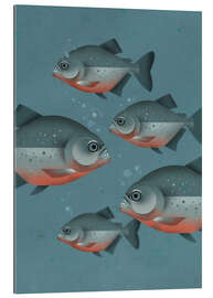 Gallery print Piranhas