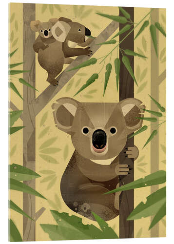 Quadro em acrílico Koala bear