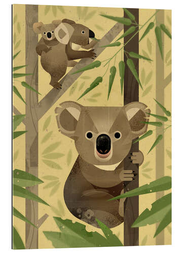 Gallery Print Koalas