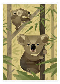 Wall print  Koala bear - Dieter Braun