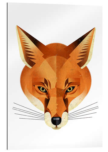 Gallery Print Fuchs