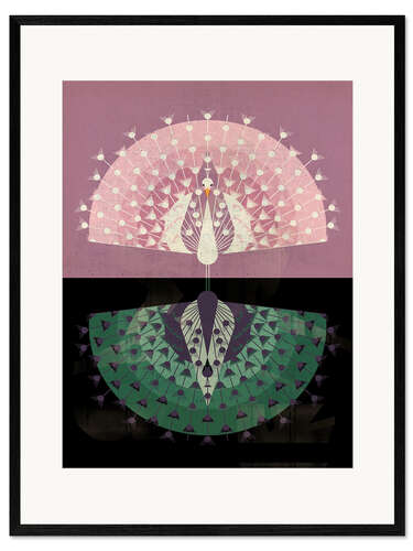 Ingelijste kunstdruk Peacock