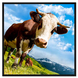 Gerahmter Kunstdruck Neugierige Kuh