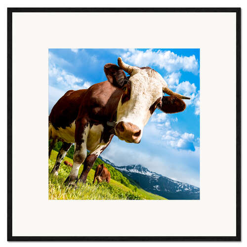 Framed art print Curious cow