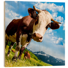 Tableau en bois  Vache curieuse