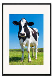 Gerahmter Kunstdruck Kuh - Schwarz Weiß