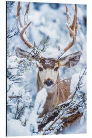 Magnettafel Verschneiter Hirsch