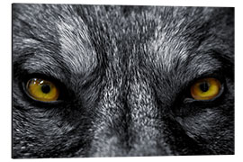 Aluminium print The evil wolf