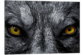 Gallery print The evil wolf