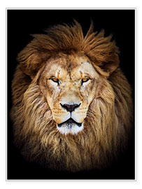 Wall print  King of the Jungle Portrait
