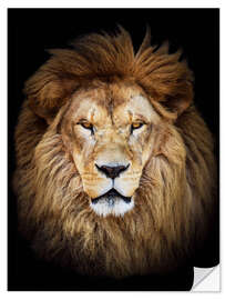 Wall sticker King of the Jungle Portrait