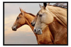 Gerahmter Kunstdruck Pferde auf der Reise