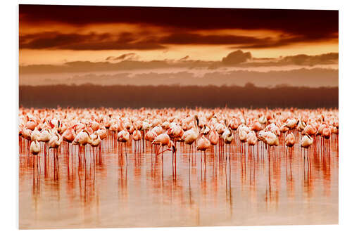 PVC-taulu Flamingos at sunset