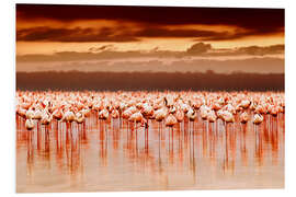 Foam board print Flamingos at sunset