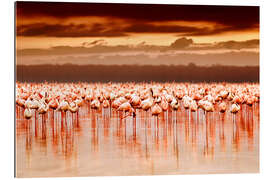 Tableau en plexi-alu Flamants roses au coucher du soleil