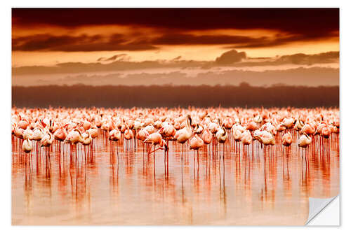 Sisustustarra Flamingos at sunset