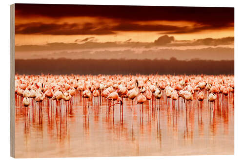 Obraz na drewnie Flamingos at sunset