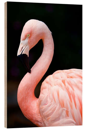 Wood print Pink Flamingo