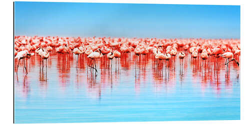 Gallery print Flamingo in the lake Nakuru