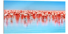 Gallery print Flamingo in the lake Nakuru