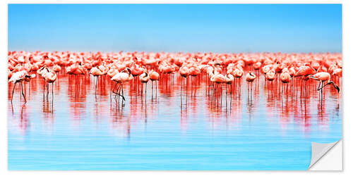 Autocolante decorativo Flamingo in the lake Nakuru