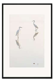 Gerahmter Kunstdruck Silberreiher am Morgen