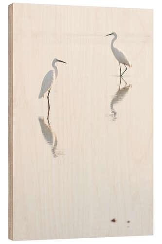 Cuadro de madera Egrets morning