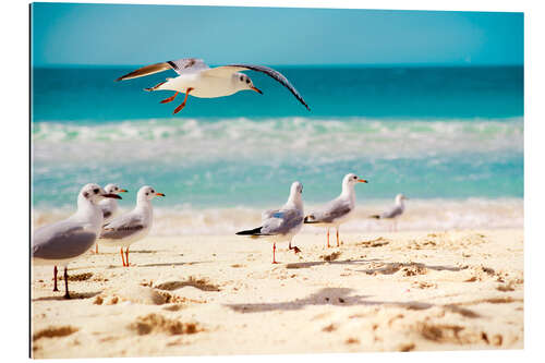 Gallery print seagulls beach