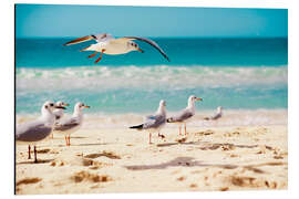 Magnettafel Möwenstrand