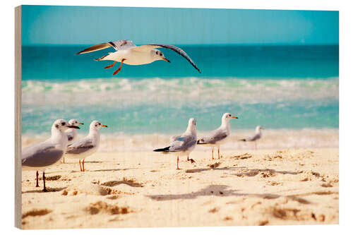 Cuadro de madera Gaviotas en la playa