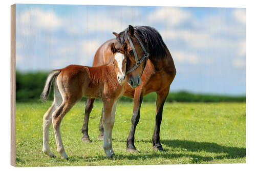 Wood print Mother Love - mare with foal