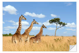 Wall sticker Giraffe Trio