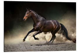 Magnettafel Treuer Freund