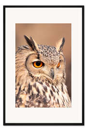 Gerahmter Kunstdruck Eule mit orangenen Augen
