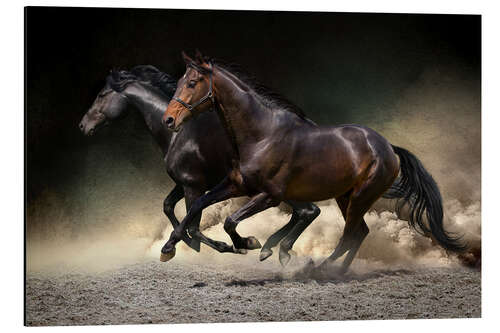 Alubild Mustang Galopp