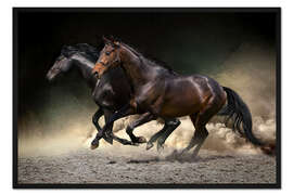 Gerahmter Kunstdruck Mustang Galopp