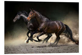 Quadro em PVC Mustang gallop