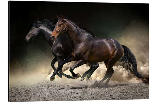 Gallery print Mustang gallop