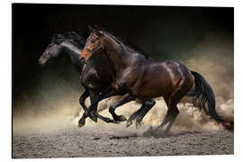 Magnettafel Mustang Galopp