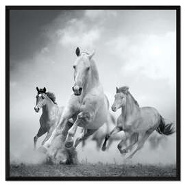 Gerahmter Kunstdruck Pferdestärke in schwarz und weiß