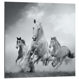 Magnettafel Pferdestärke in schwarz und weiß