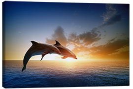 Lærredsbillede  Delfiner i solnedgangen