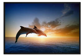 Gerahmter Kunstdruck Delfine im Sonnenuntergang