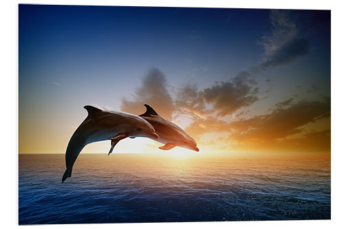 Foam board print Dolphins in the sunset