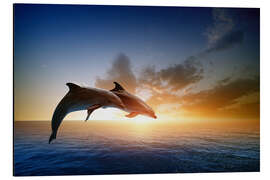 Magnettafel Delfine im Sonnenuntergang