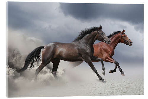 Akrylbilde Horses in the storm