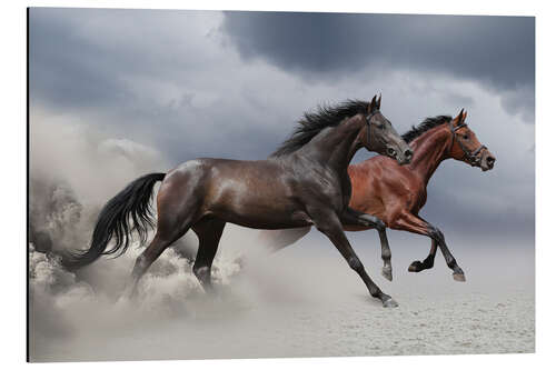 Aluminium print Horses in the Storm